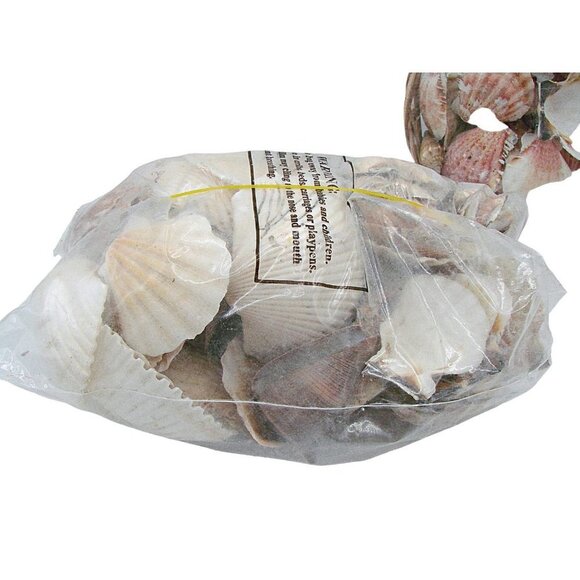 NEW Lot 2 Decorators Choice Seashells Wicker Basket and Bag Nature Decor Crafts - Picture 3 of 7